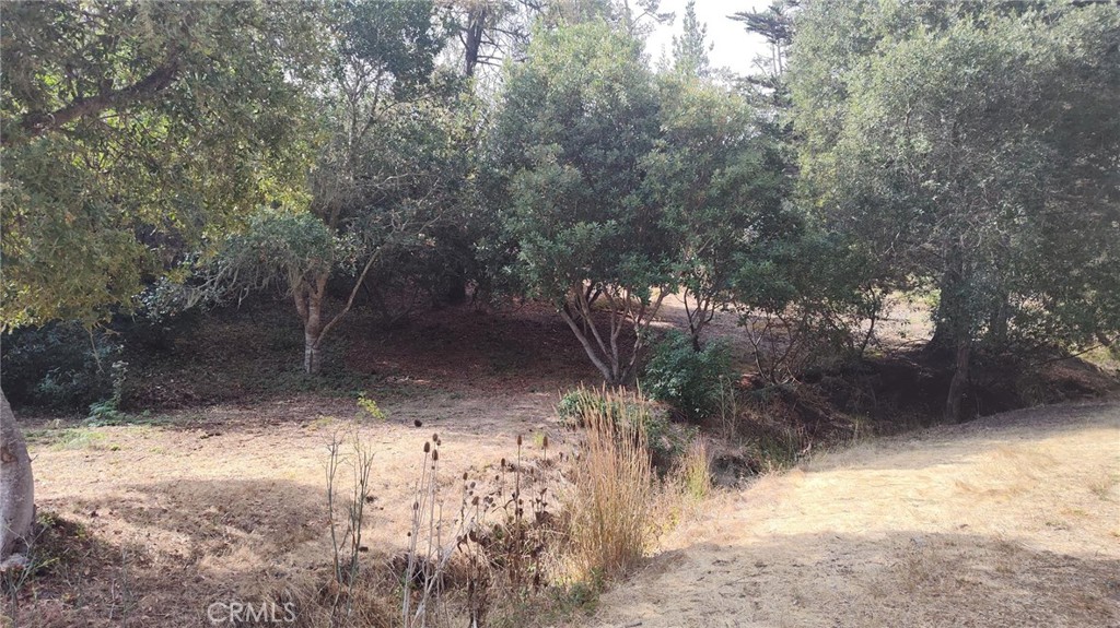 Cambria Rural(390) - Land