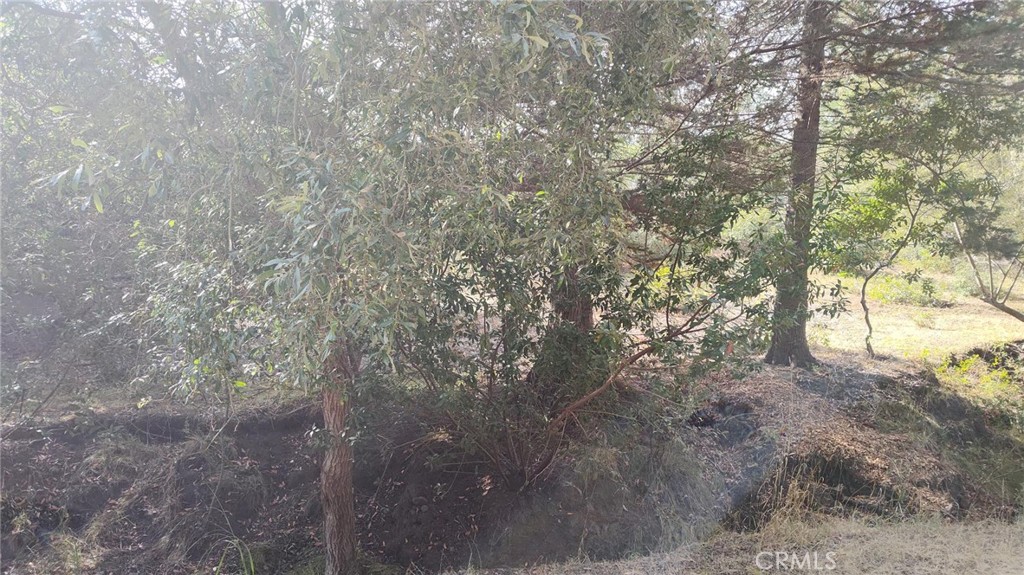 Cambria Rural(390) - Land