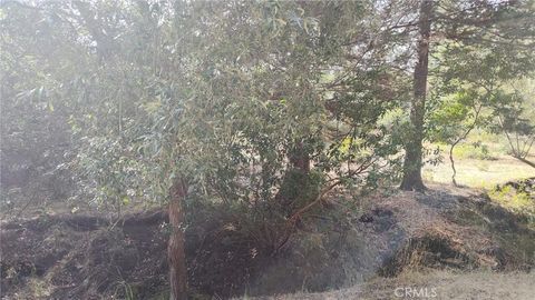 Tiny photo for 3236 Gleason Street, Cambria, CA 93428 (MLS # PI25222819)