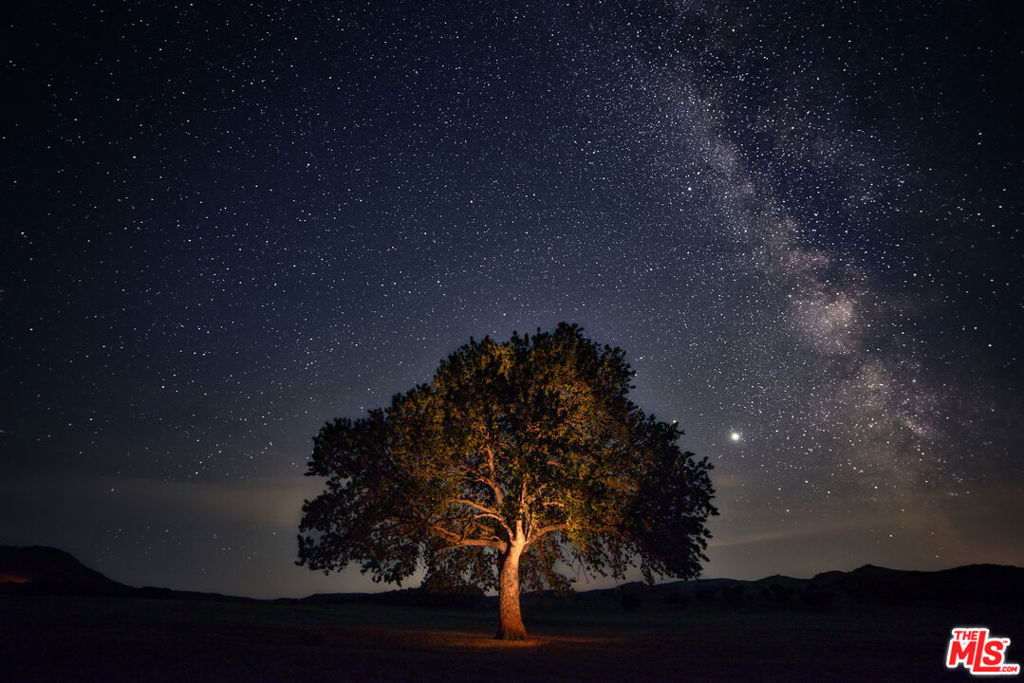 Cienega De Los Paicines Rho - Land