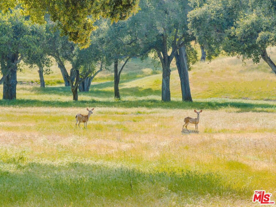 Cienega De Los Paicines Rho - Land