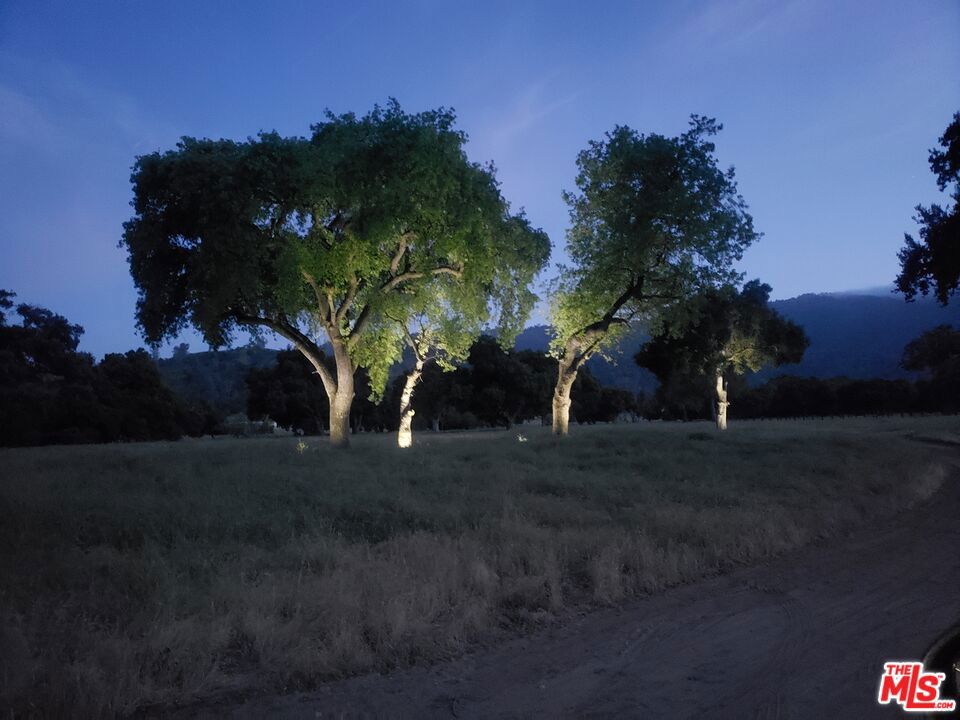 Cienega De Los Paicines Rho - Land