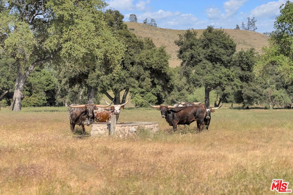 Cienega De Los Paicines Rho - Land