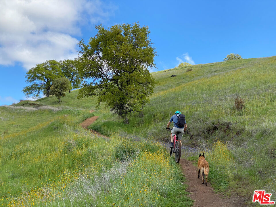 Cienega De Los Paicines Rho - Land