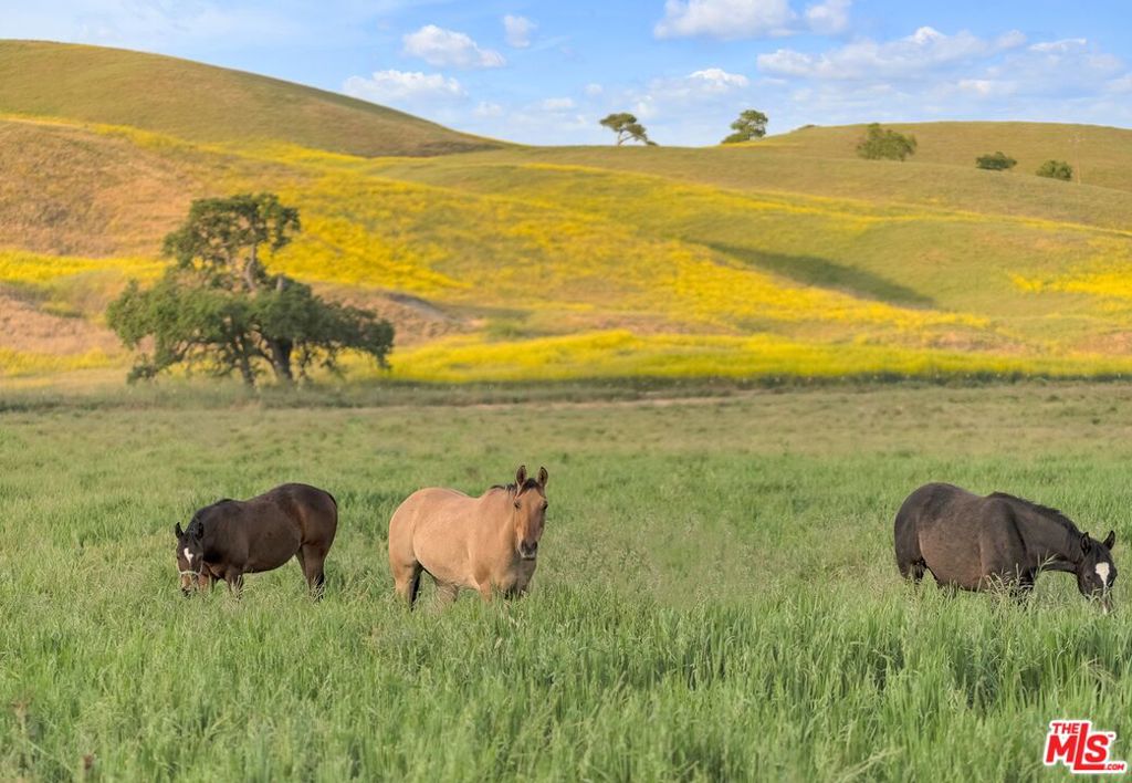 Cienega De Los Paicines Rho - Land