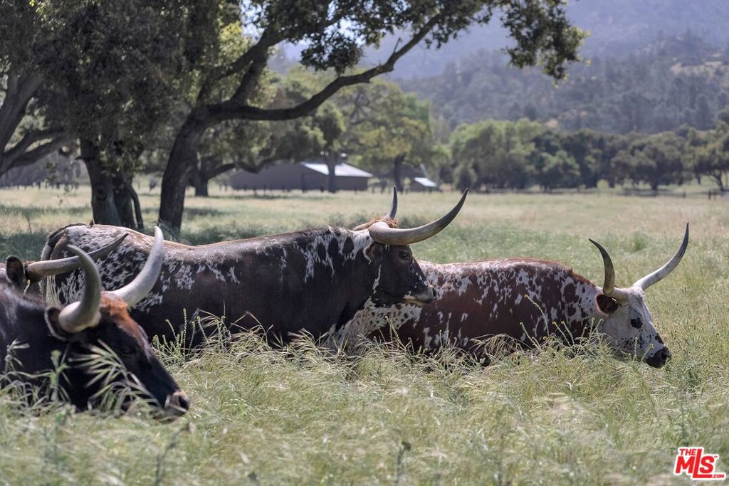 Cienega De Los Paicines Rho - Land