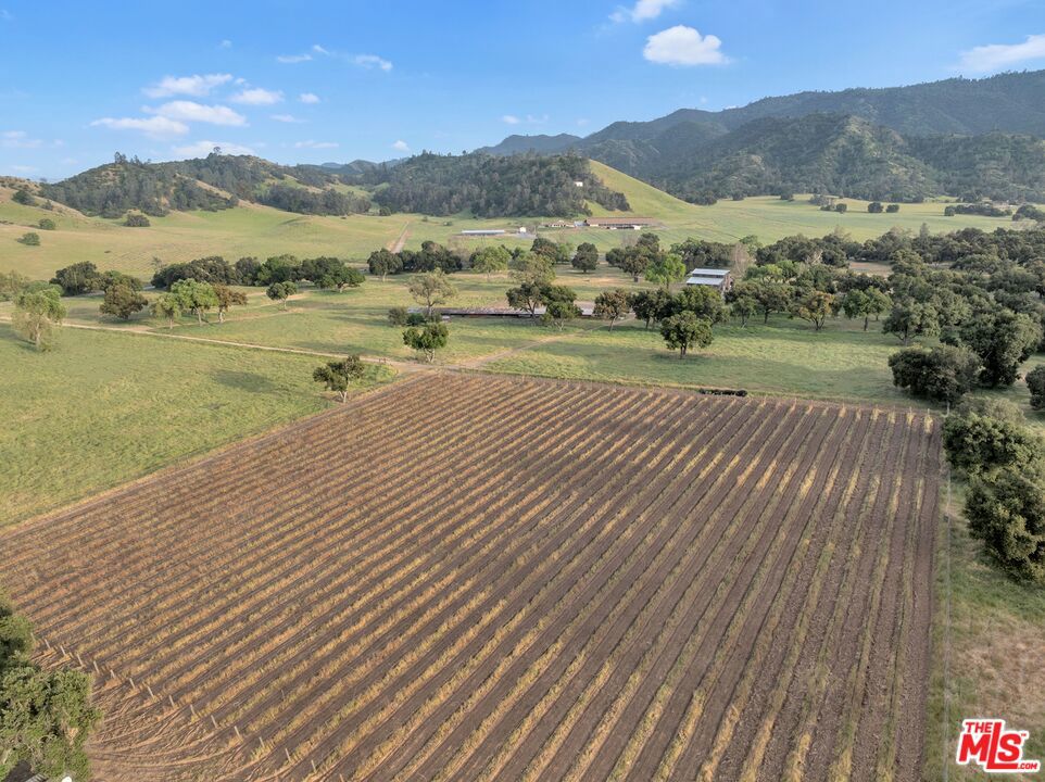 Cienega De Los Paicines Rho - Land