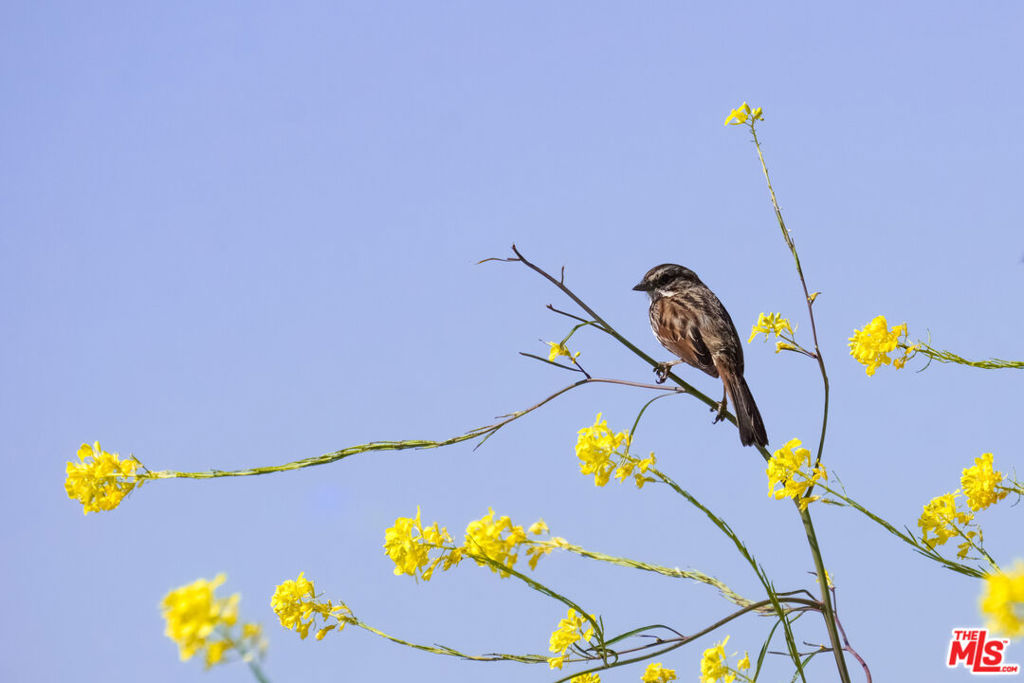 Cienega De Los Paicines Rho - Land