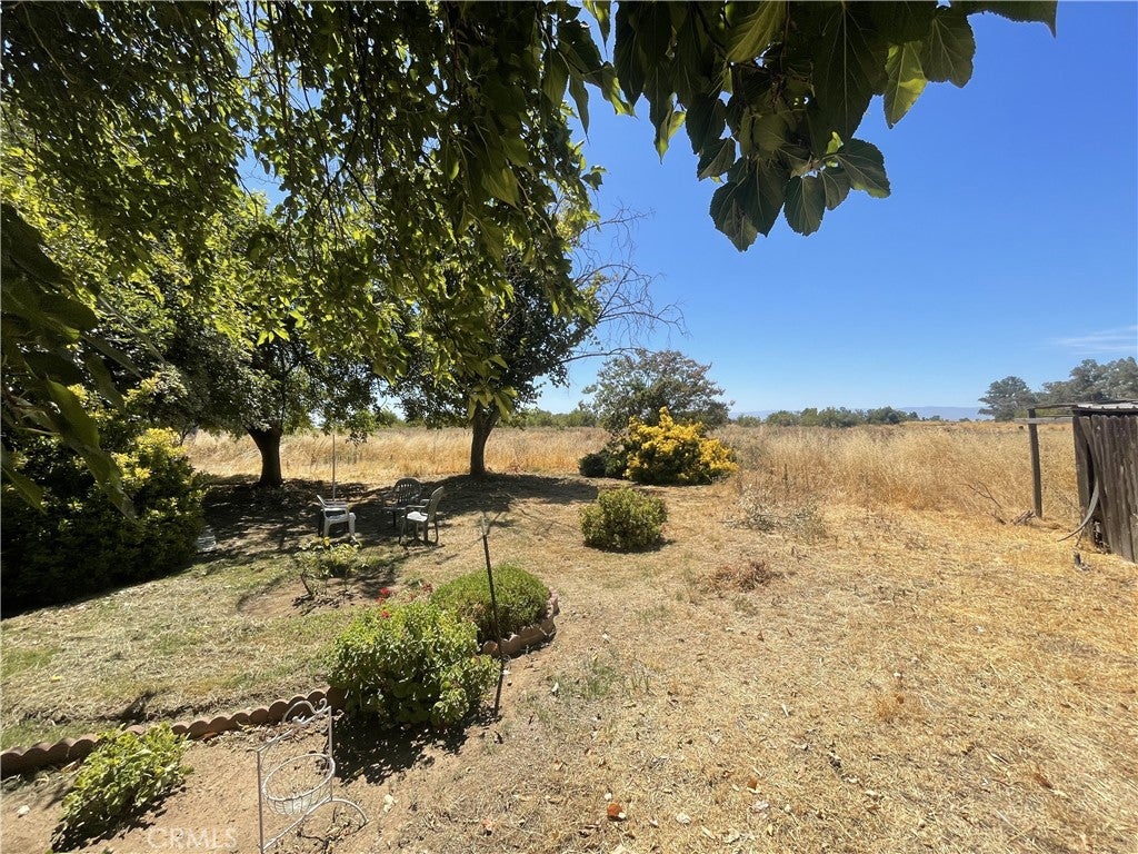 3953 Co Rd 99