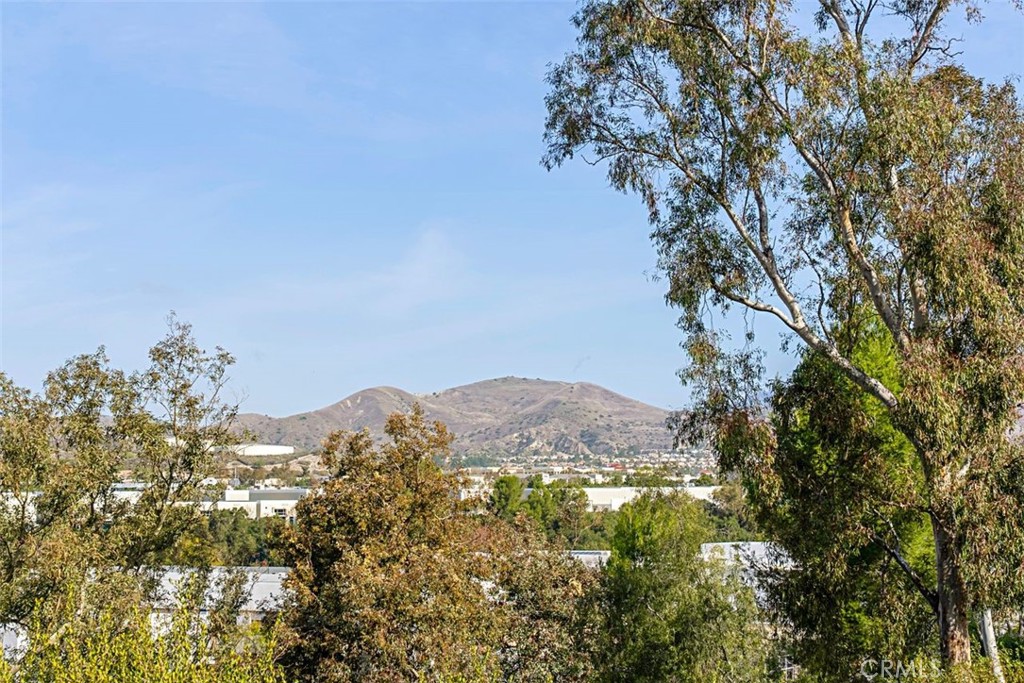 26342 Forest Ridge Drive 3A