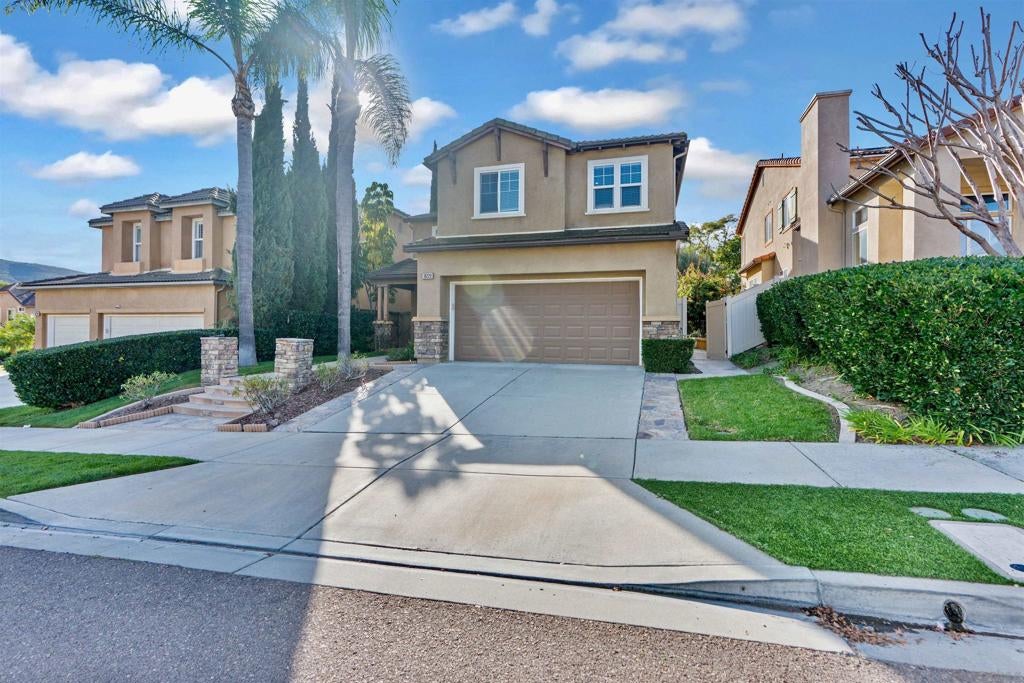 16220 PALOMINO MESA CT Ct