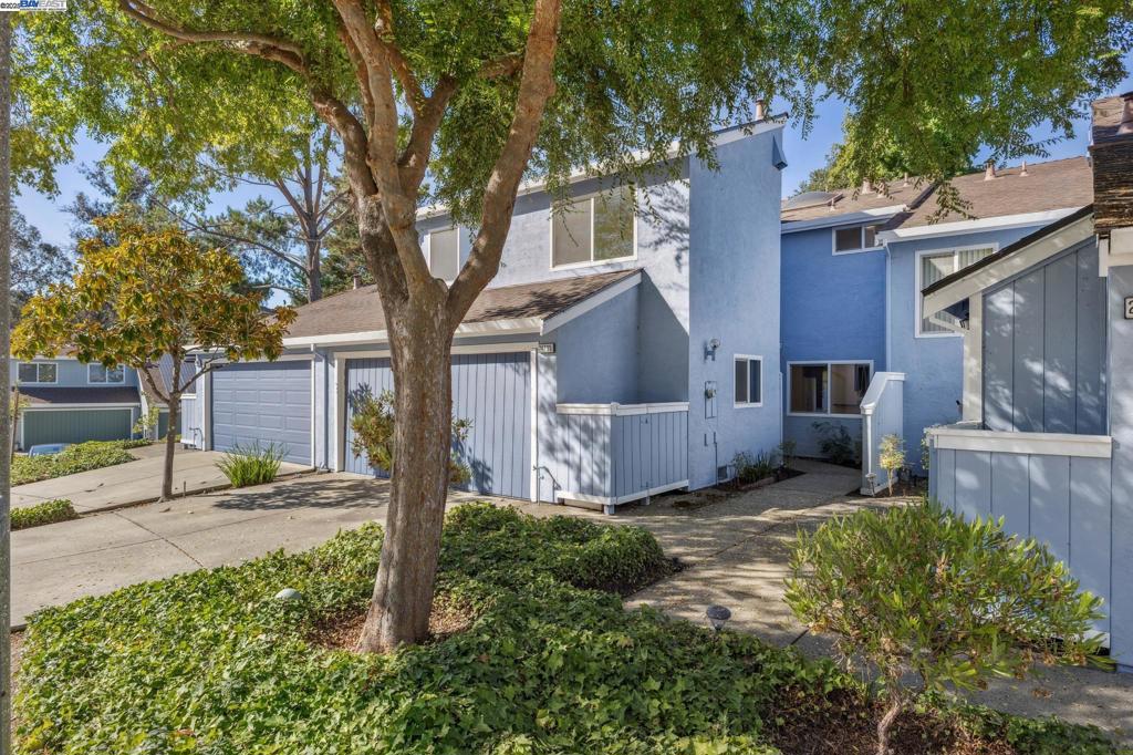 HAYWARD HILLS - Residential