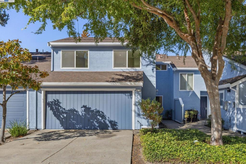HAYWARD HILLS - Residential