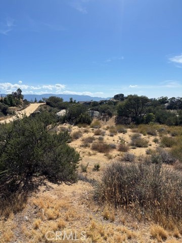 753 Rolling Hills Drive