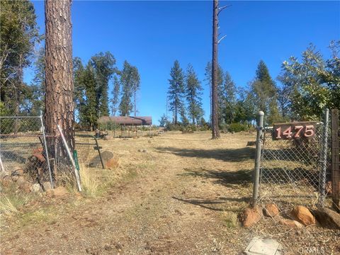 Photo of 1475 Carroll Ln, Paradise, CA 95969 (MLS # SN25244577)