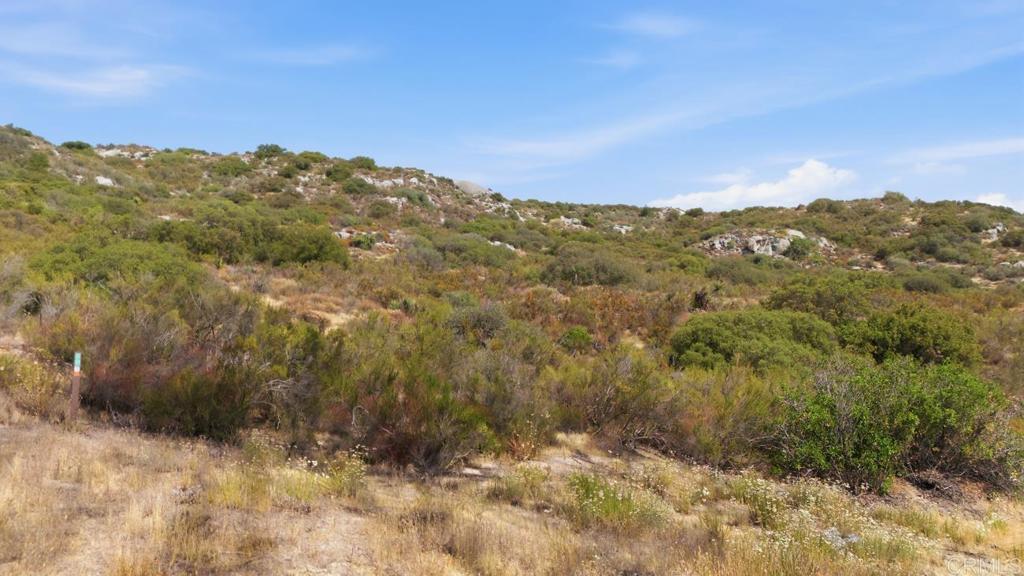 20 acres Buckman Springs Road