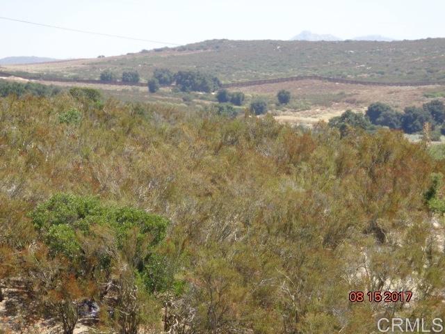 20 acres Buckman Springs Road