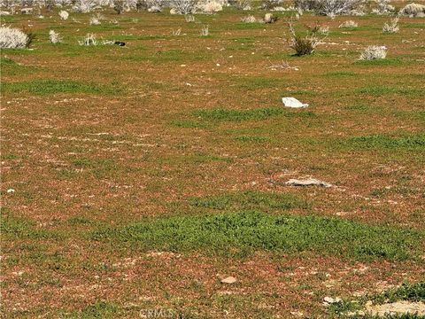 Photo of 0 0, Morongo Valley, CA 92256 (MLS # HD26011909)