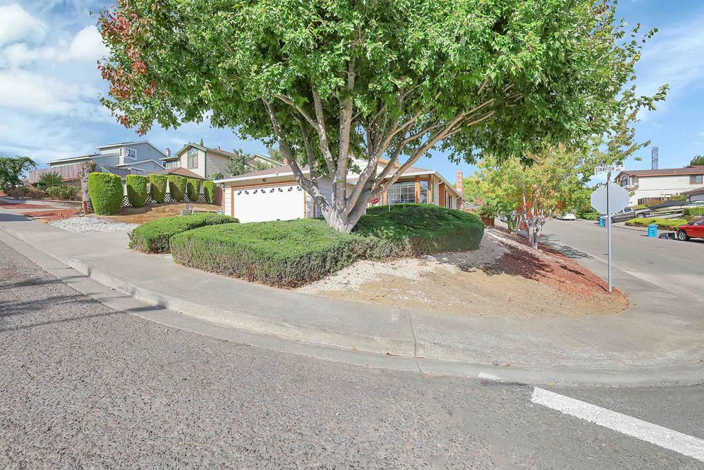 393 Starfish Drive