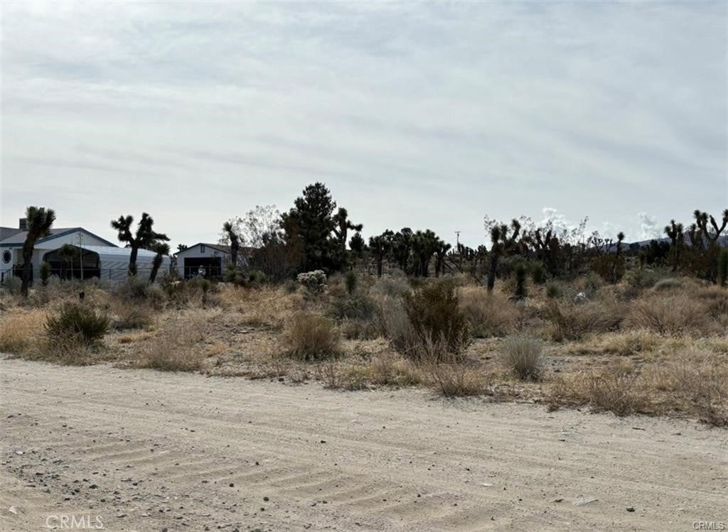 0 Mono Road