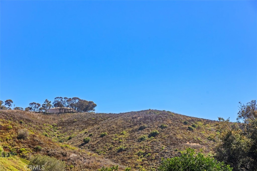 28142 Pacifica Del Mar, San Juan Capistrano CA 92675 - Photo 48