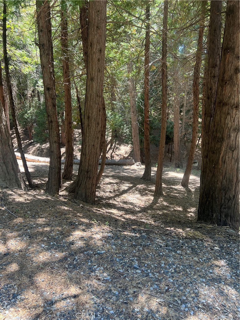 Mountain level lot with a seasonal stream in an area of expensive homes. This lot is on a County maintained road and is adjacent to Cedar Ridge and Mill Pond. Lakerights included!