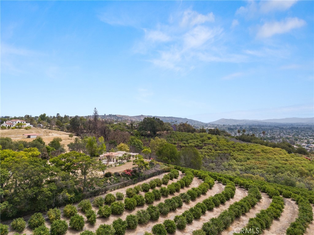 15 Encino Ave