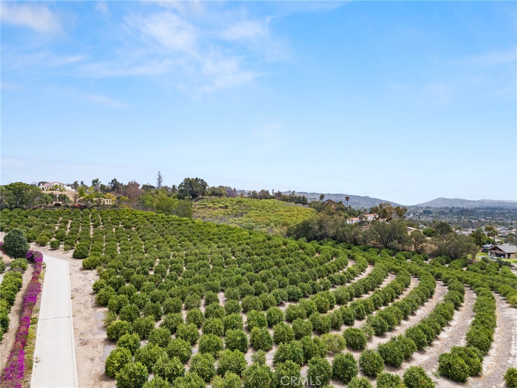 15 Encino Ave