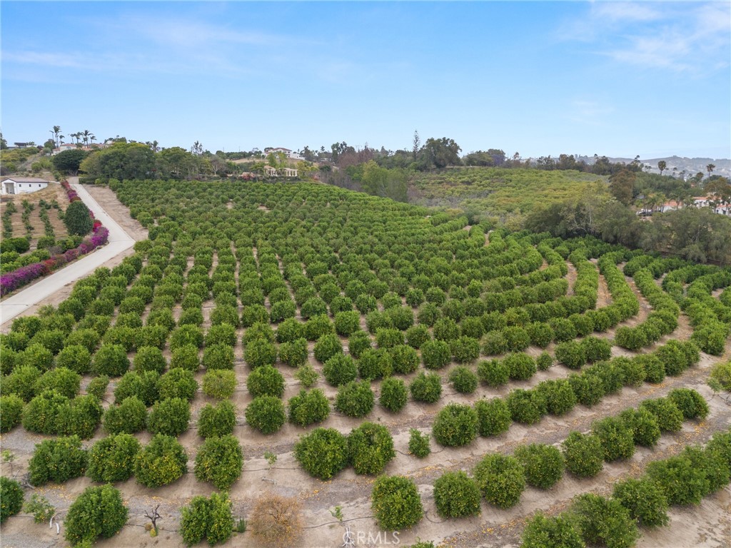 15 Encino Ave