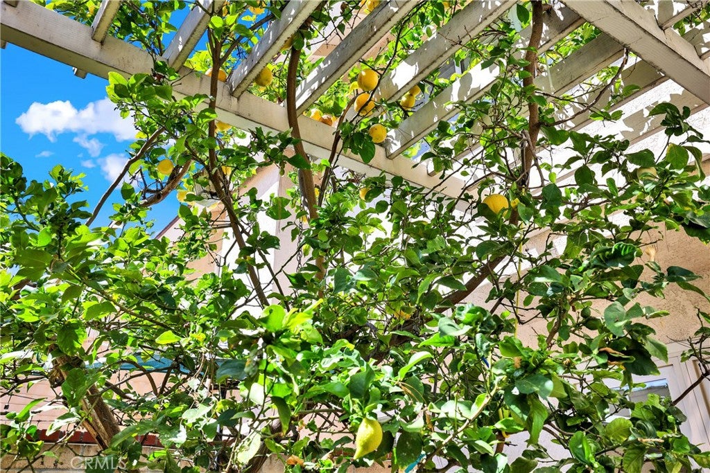 15 Snapdragon 8, Irvine CA 92604 - Photo 16