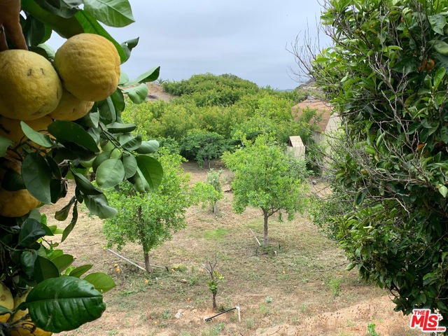 45220 Los Gatos Road