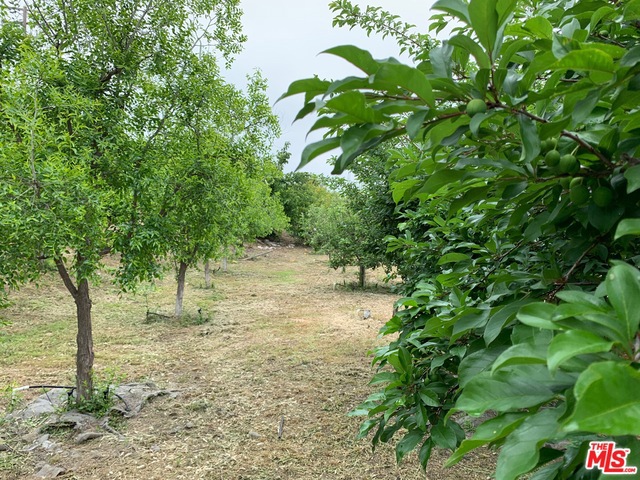 45220 Los Gatos Road