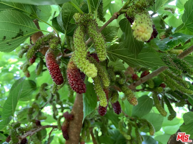 45220 Los Gatos Road