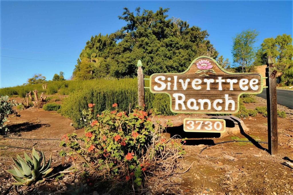 3730 Silverleaf Lane