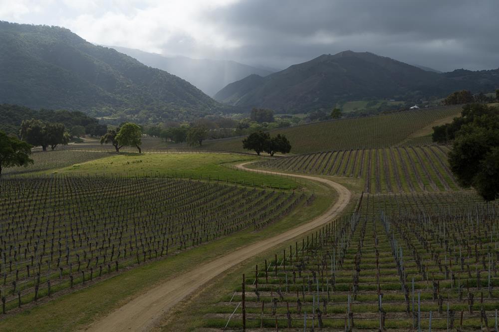 18190 Cachagua