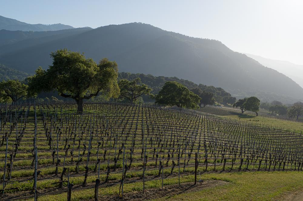 18190 Cachagua