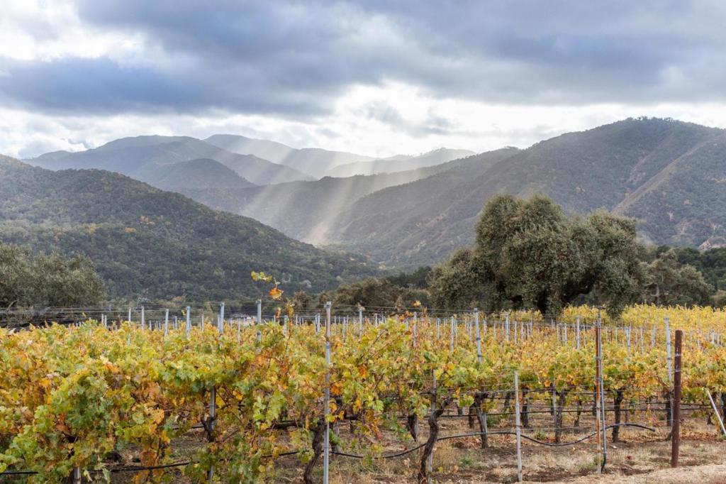 18190 Cachagua