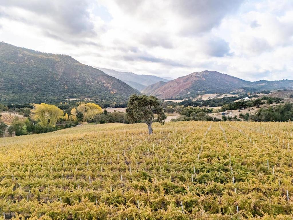 18190 Cachagua
