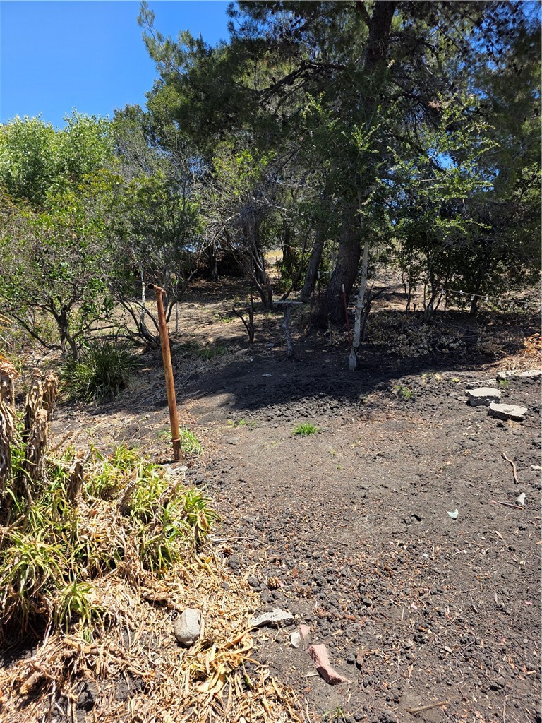 1411 1415 San Luis Drive