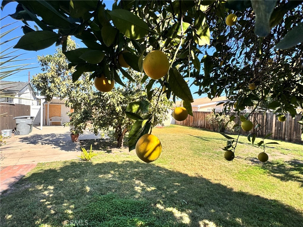 other - Residential Lease