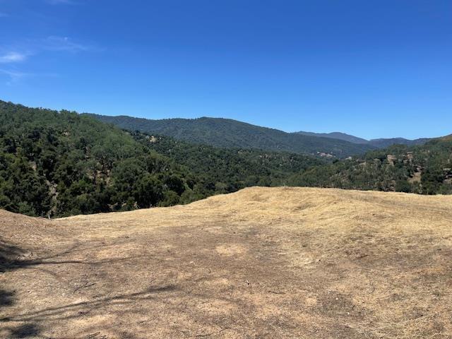 20803 Cachagua Road