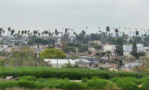 Photo of 3728 Randolph Avenue, Los Angeles, CA 90032 (MLS # NP25104231) Photo of 3728 Randolph Avenue, Los Angeles, CA 90032 (MLS # NP25104231)