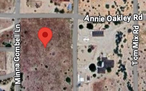 5525 Minna Gombell Lane Pioneertown CA 92268
