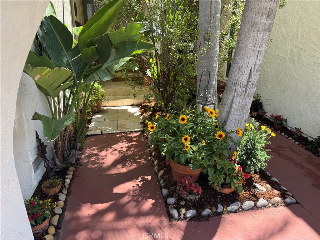 30724 CALLE RESPLENDOR