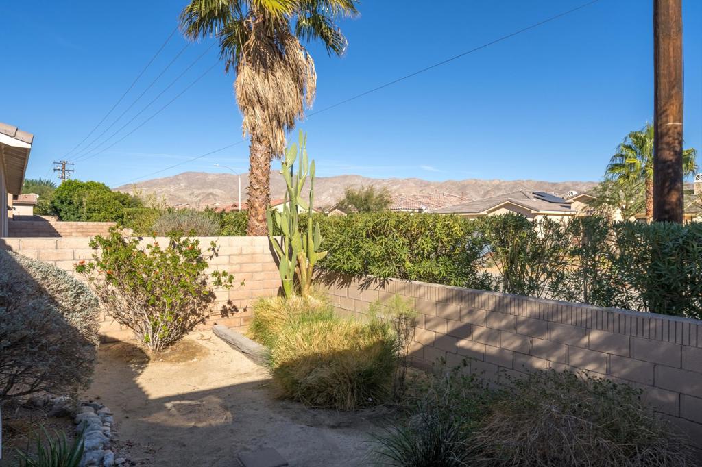 Desert Willow - Residential