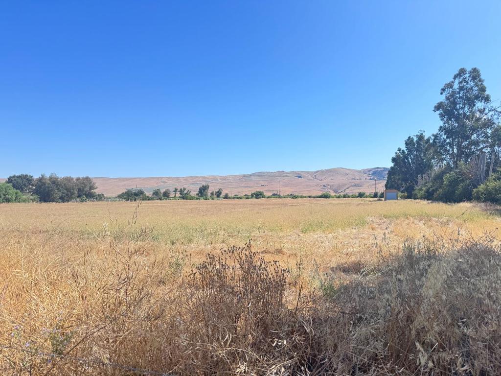 Prime 10+ Acre Flat Parcel Agricultural Opportunity or a Possible Development opportunity if the buyer choses to go thru the entitlement processes. Enjoy over 10 acres of flat, usable land ideal for growing crops, building your dream estate, or pursuing a potential entitlement project. Located just off the freeway with quick access to San Jose, this strategically positioned property is surrounded by major residential developments, making it a standout opportunity for home owners, farmers, developers and investors. Whether you're seeking space for a private residence with farming experience or a possible development project. Just minutes from vibrant downtown Morgan Hill, this location offers the perfect mix of convenience, open space, and long-term value. Dont miss your chance to secure a rare piece of land in a rapidly growing area. There are over 15 development projects in Morgan Hill and Santa Clara County is the Number #1 County in Silicon Valley and and we are still under a housing crisis in The State of CA. Therefore, if you are considering developing the land please check with a land use attorney, entitlement consultant on how to change the use, subdivided or how to present your project to the city.