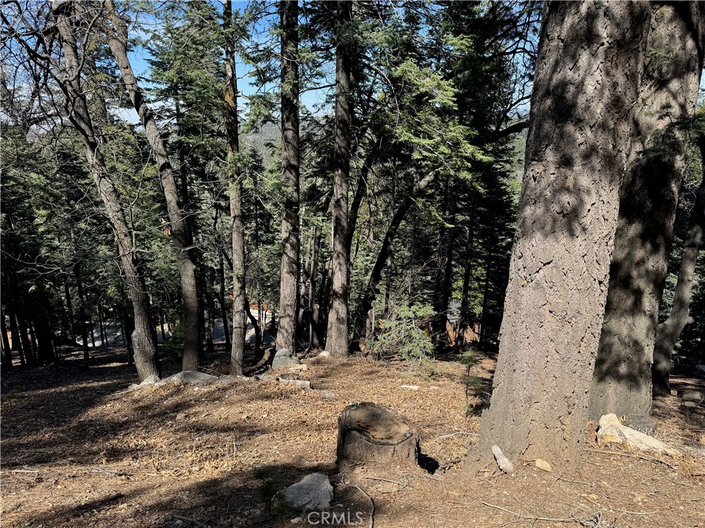 Arrowhead Woods (AWHW) - Land