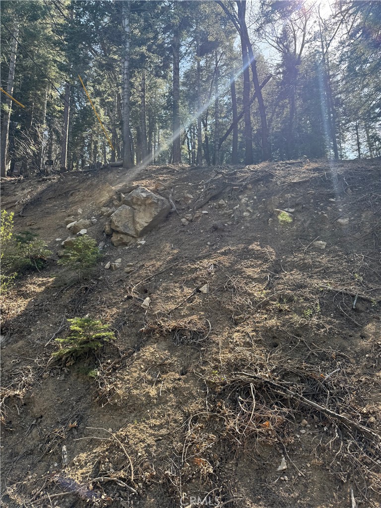 Arrowhead Woods (AWHW) - Land