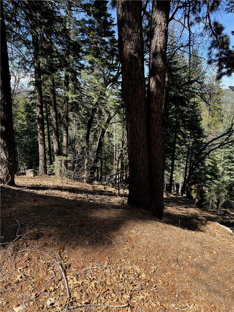 Arrowhead Woods (AWHW) - Land