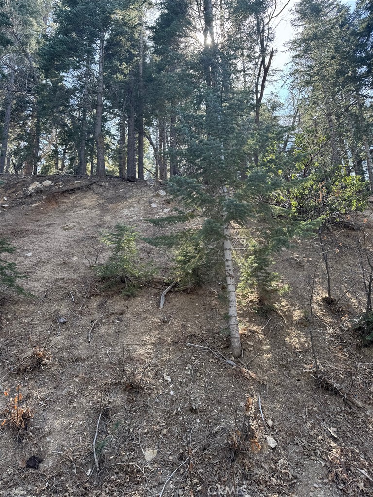 Arrowhead Woods (AWHW) - Land
